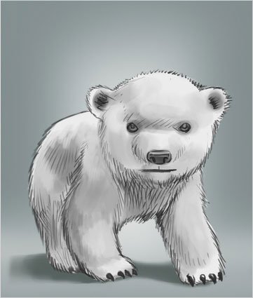 bear-1